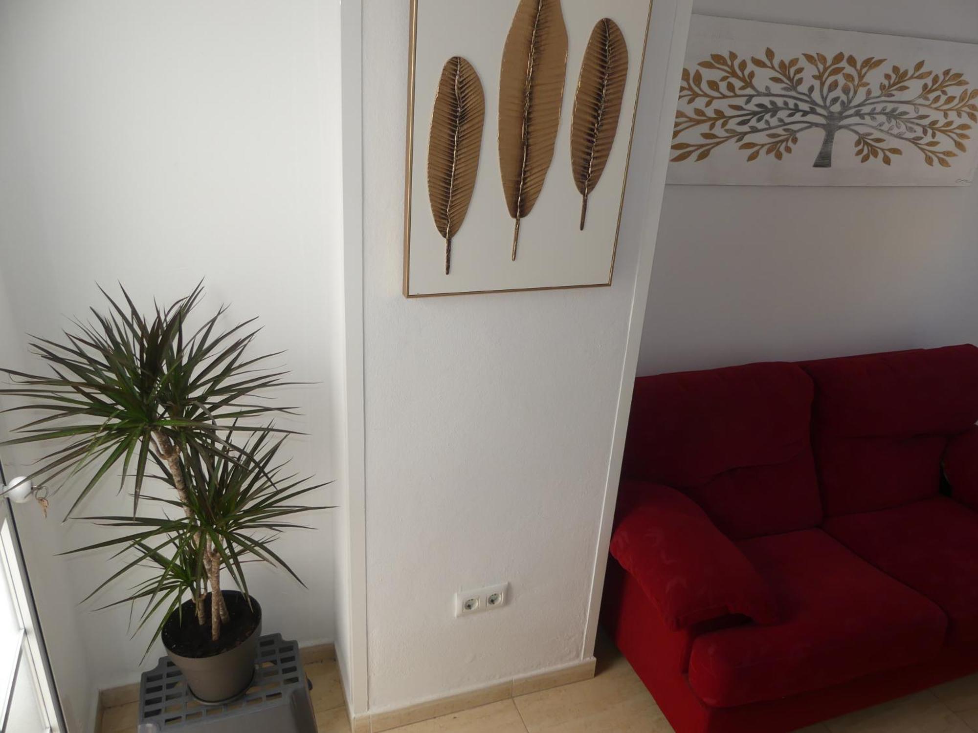 Appartement Alquiler Casa Semi Centro Obra Nueva Patio Barata