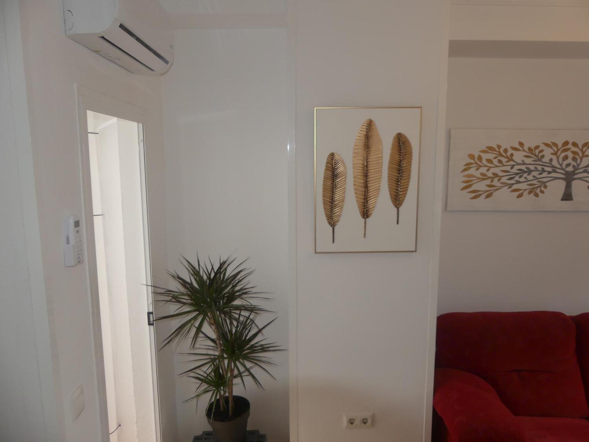 Appartement Alquiler Casa Semi Centro Obra Nueva Patio Barata *